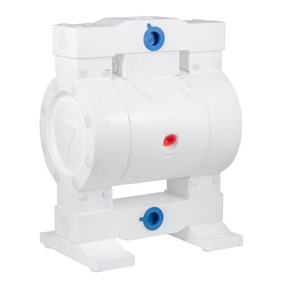 বর্জ্য জল রাসায়নিক শিল্পের জন্য কাস্টমাইজযোগ্য লো প্রেসার পিটিএফই উপাদান নিউম্যাটিক ডায়াফ্রাম পাম্প