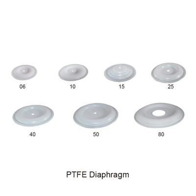 ডায়াফ্রাম PTFE এয়ার ডাবল ডায়াফ্রাম পাম্প যন্ত্রাংশ চালিত
