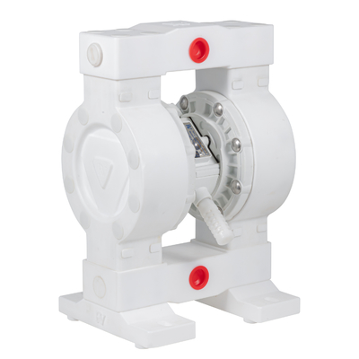 RV PTFE ডায়াফ্রাম পাম্প 36lpm সর্বোচ্চ প্রবাহ 100psi চাপ
