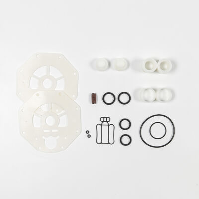 120 পিসি সর্বোচ্চ চাপ 270 জিপিএম সর্বোচ্চ প্রবাহ পিটিএফই ডায়াফ্রাগম এওডিডি পাম্প বর্জ্য জল পরিশোধন এবং সেচ জন্য